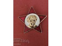 Vintage enameled "Oktyabryonok" badge from the USSR