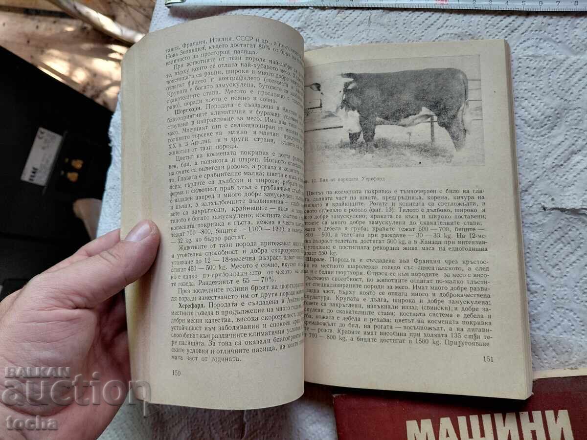 Livrarea Utilaje și tehnologii în zootehnie, lot