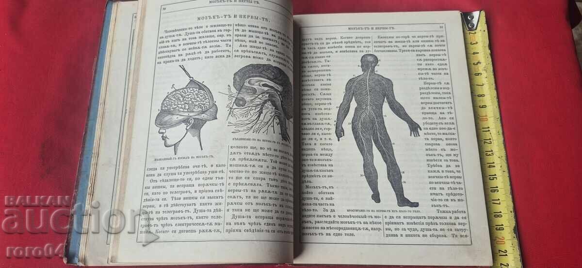 Livrarea EXTRACTE DIN MESECHNA ZORNITSA pentru 1874 - 1881