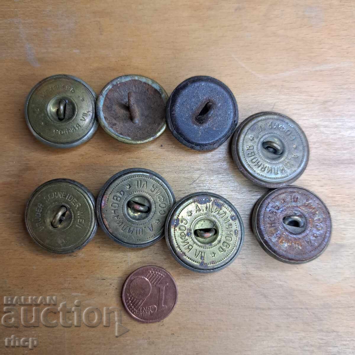 Licitație Nasturi regali cu leu 8 buc Licitație Nasturi regali cu leu 8 buc