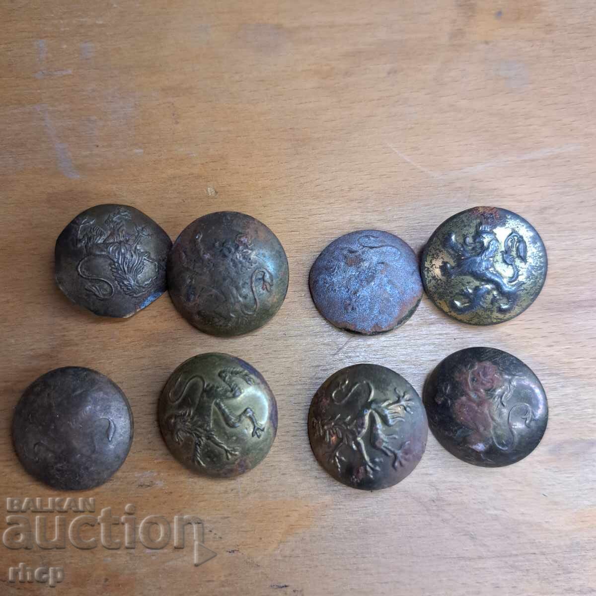 Royal buttons with a lion 8 pcs Royal buttons with a lion 8 pcs