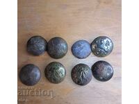 Royal buttons with a lion 8 pcs