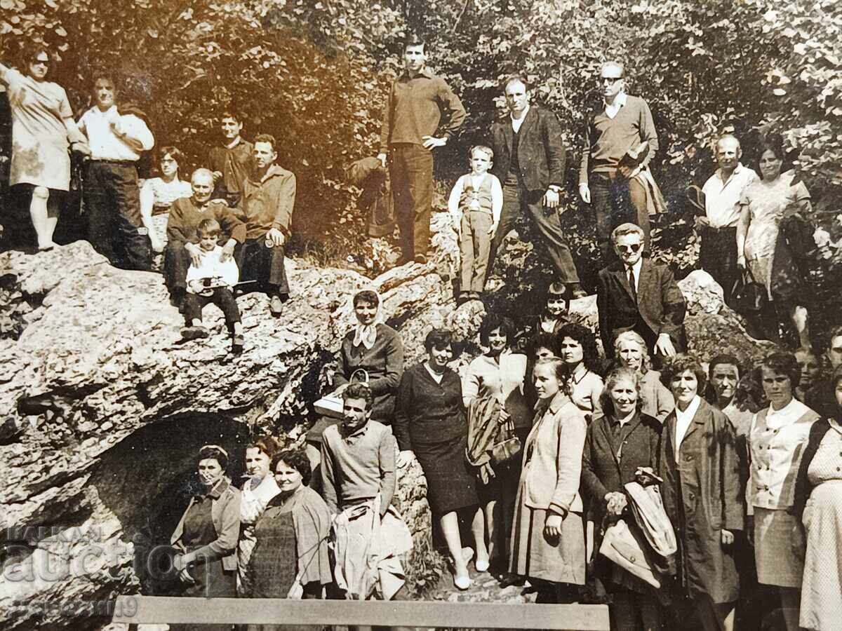 Licitație "Ledenika" 1969 g