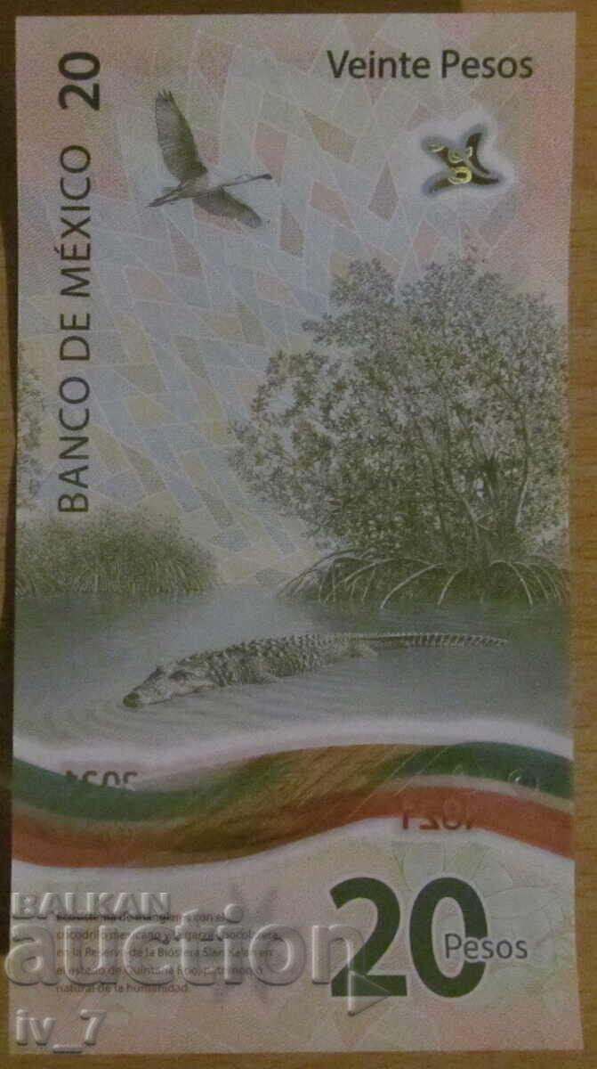 Licitație 20 PESO 2023, MEXIC - Polimer