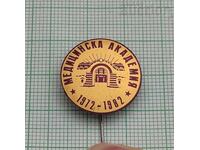 MEDICAL ACADEMY 10 years BADGE 1982