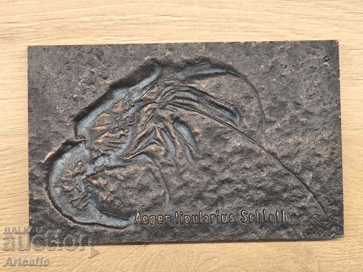 Decorative bronze plaque "Fossil of a prehistoric shrimp" with price € 10.00 | 19.56 BGN