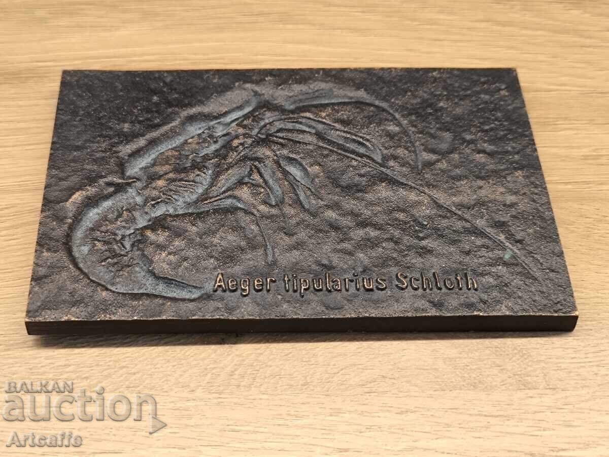 Delivery of Decorative bronze plaque "Fossil of a prehistoric shrimp"