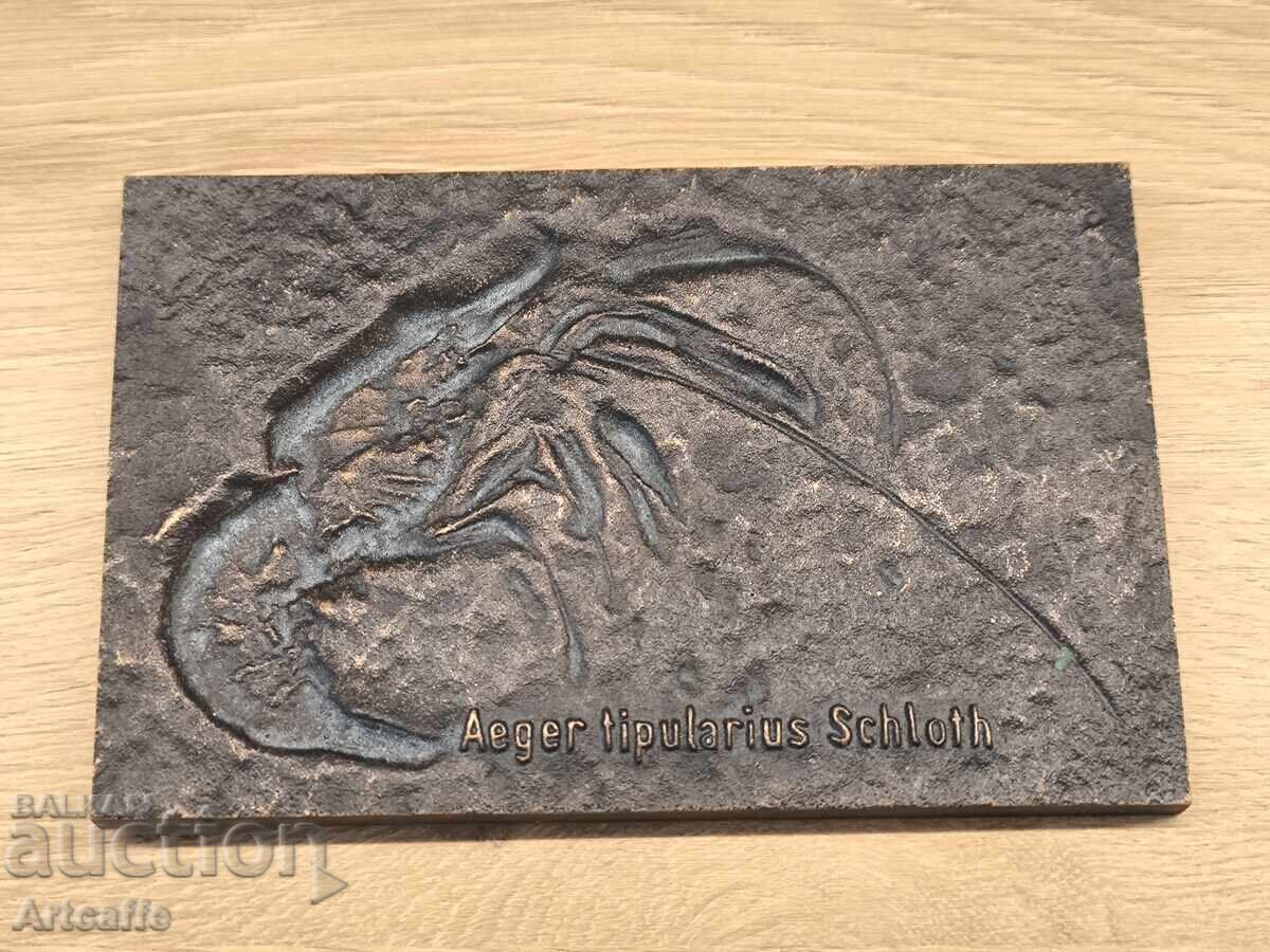 Decorative bronze plaque "Fossil of a prehistoric shrimp"