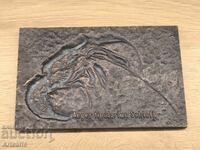 Decorative bronze plaque "Fossil of a prehistoric shrimp"