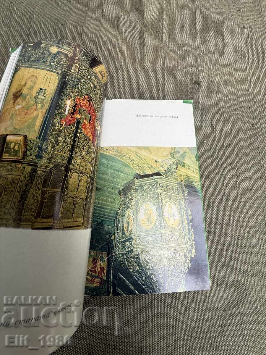 Licitație Urzica