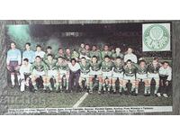 Palmeiras Brazilia 1999 Campion Copa Libertadores