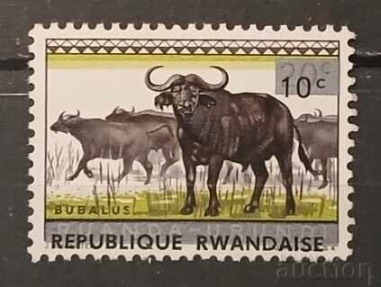 Rwanda 1964 Faună MNH Rwanda 1964 Faună MNH