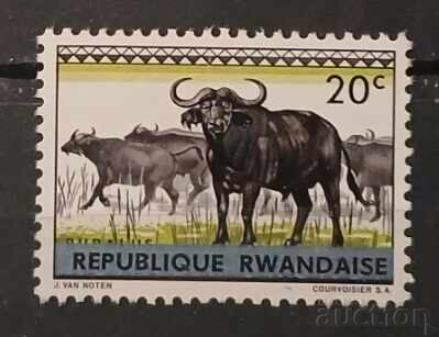 Rwanda 1964 Faună MNH Rwanda 1964 Faună MNH