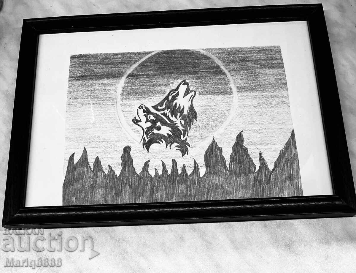 My framed drawing
