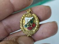 BZC Tsar's Badge BDS Badge 1908