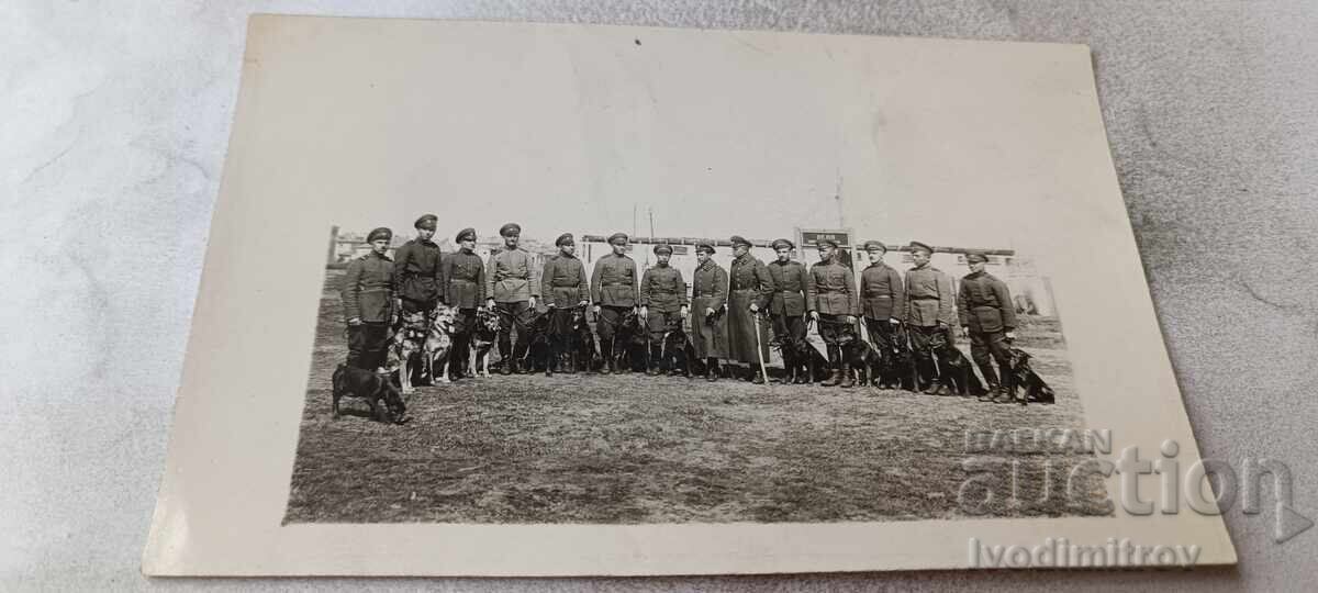 Fotografie Sergenți și soldați cu câini de rasă Fotografie Sergenți și soldați cu câini de rasă