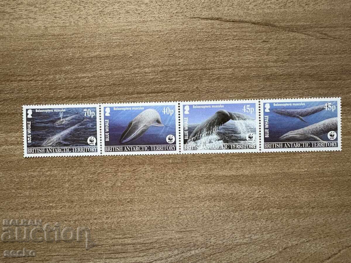 Teritoriul Antarctic Britanic - Balenă albastră (2003) MNH