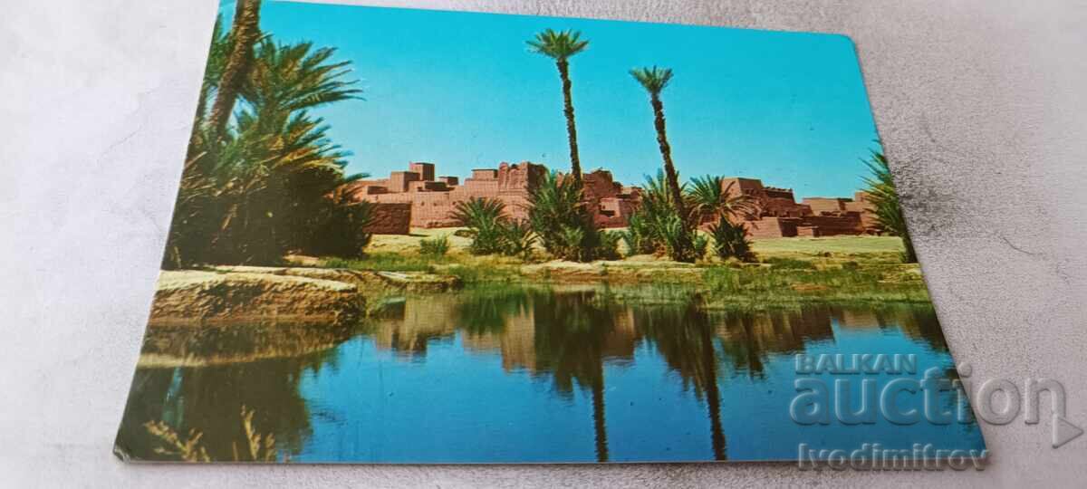 P K Le Maroc Pittoresque Στην Όαση της Ζαγώρας P K Le Maroc Pittoresque Στην Όαση της Ζαγώρας