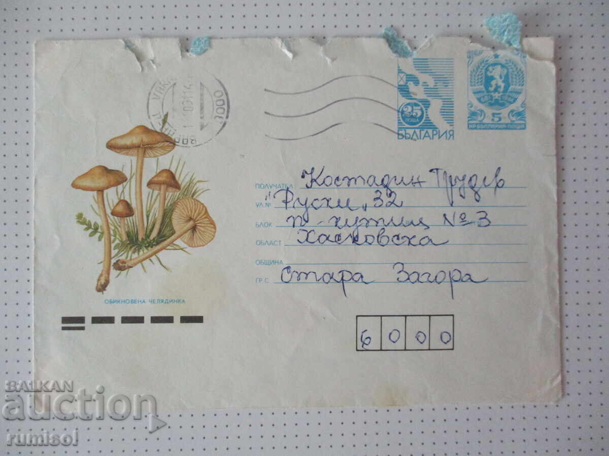 "Ordinary Meadow Mushroom" envelope