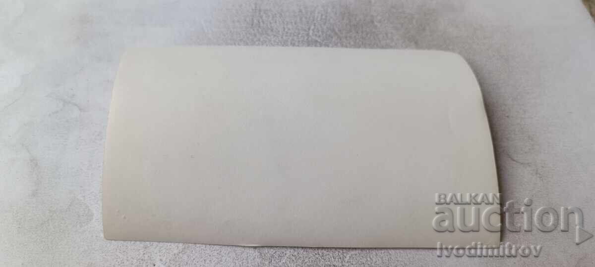 Poză câine rasă lup în zăpadă cu preț € 0.94 | 1.84 BGN