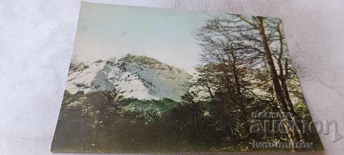 Postcard Stara Planina Mazalat Peak 1960