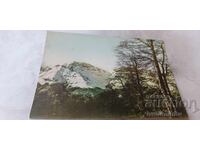 Carte poștală Stara Planina Vârful Mazalat 1960