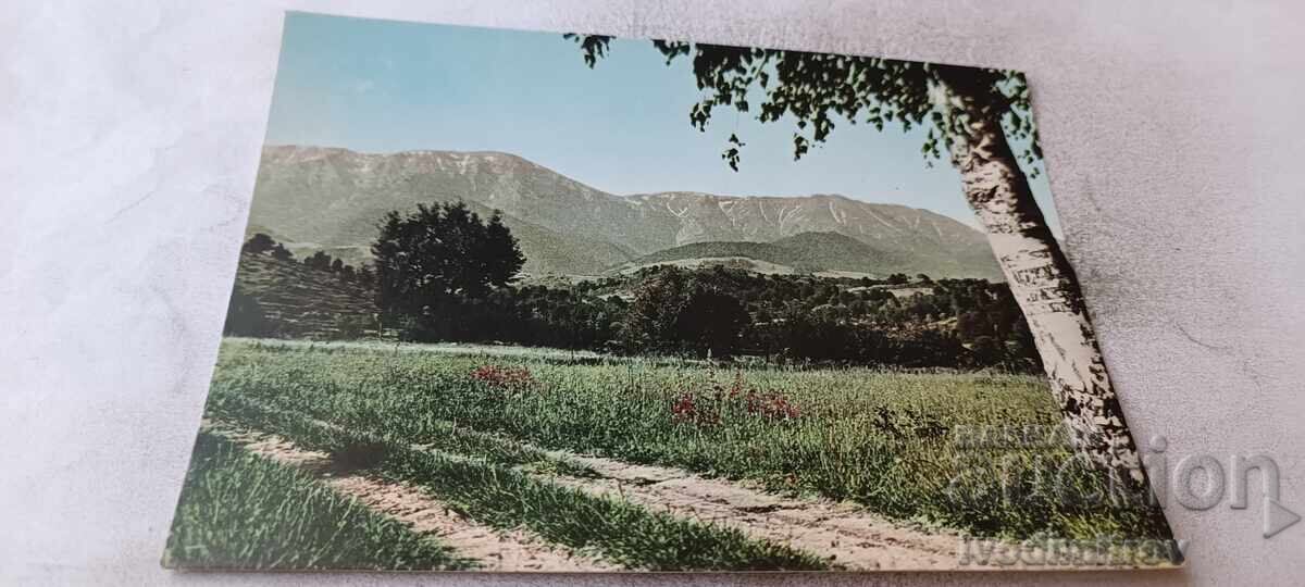 Carte poștală Stara Planina Vârful Botev 1960