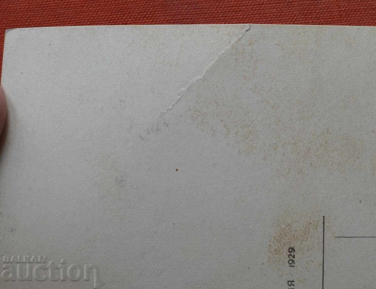 Πάσκοφ-Κιουστενδίλ Γενική άποψη με τιμή € 21.01 | 41.09 BGN