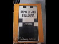 Първи стъпки в шахмата