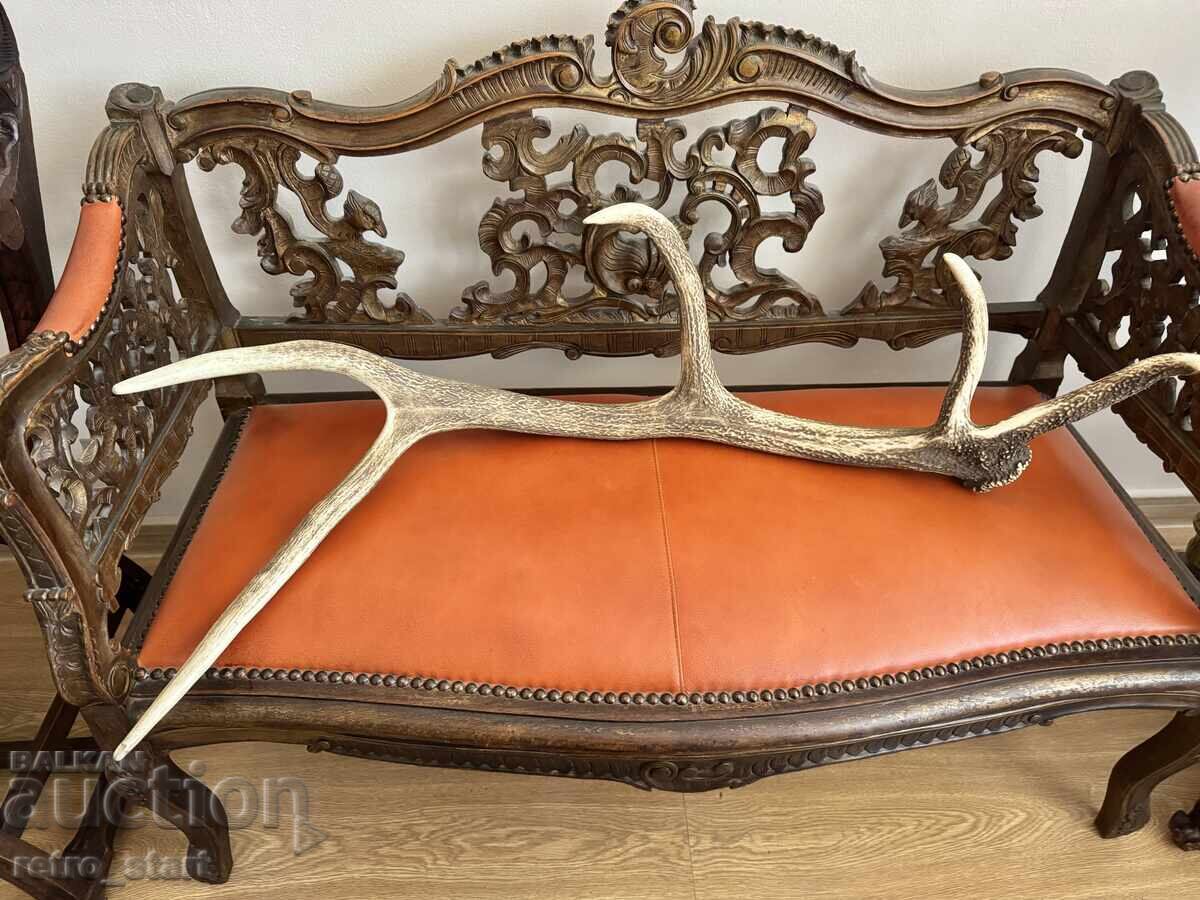 Corn de cerb 90 cm