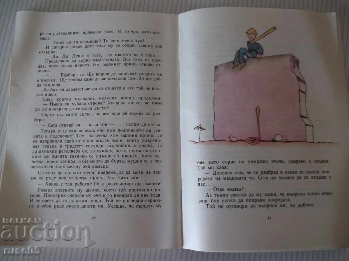 Carte "Micul Prinț - Antoine de Saint-Exupéry" - 88 pag - 6