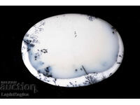 Дендритен ахат 113.9ct 59mm oвален кабошон