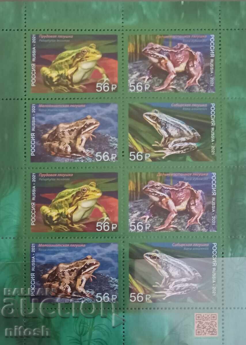 2021 Russia, Frogs 2021 Russia, Frogs