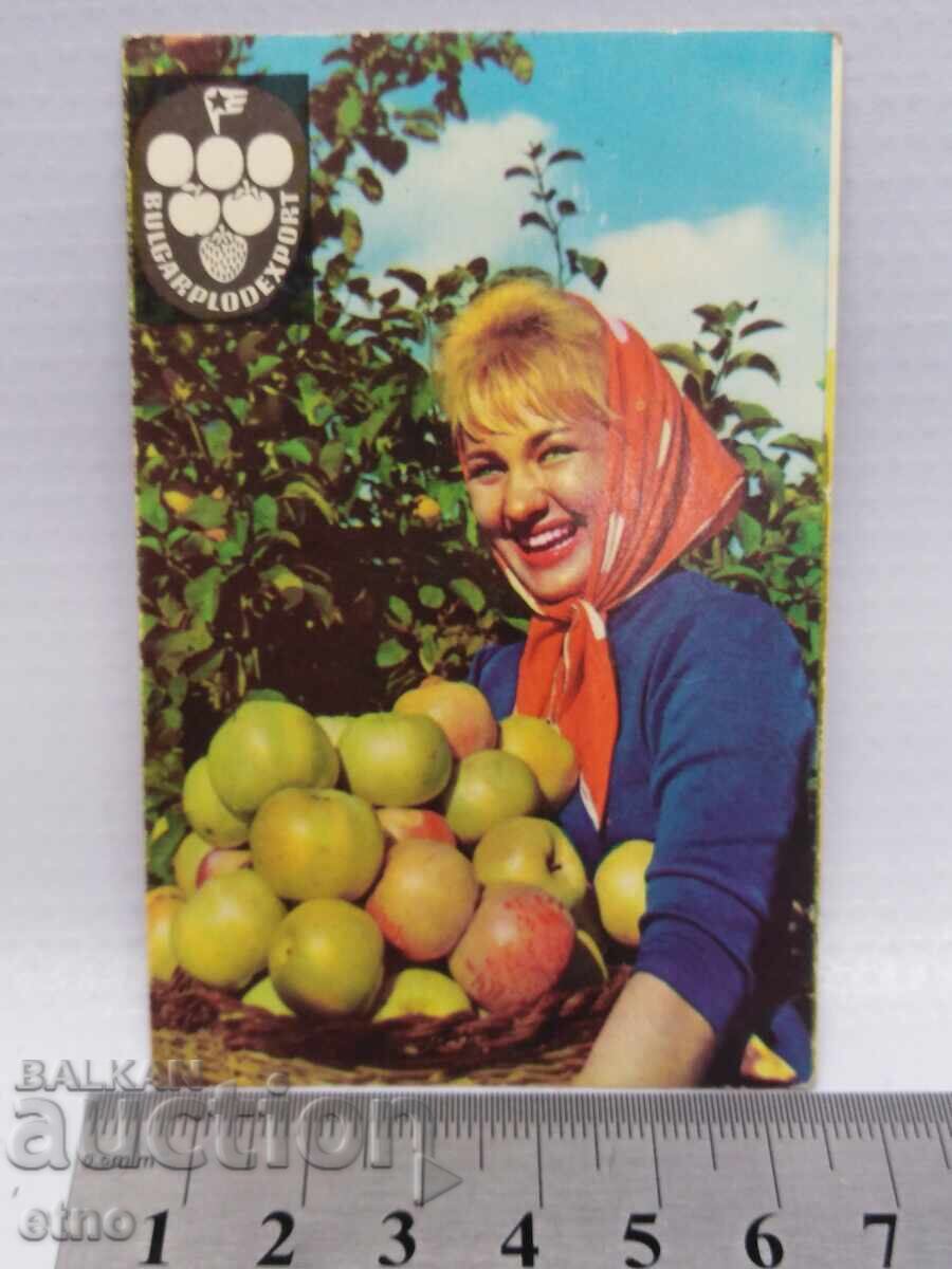 ЗАВОД 1965 Г.СТАРО БГ.СОЦ КАЛЕНДАРЧЕ ,КАЛЕНДАР,КАЛЕНДАРЧЕТА ЗАВОД 1965 Г.СТАРО БГ.СОЦ КАЛЕНДАРЧЕ ,КАЛЕНДАР,КАЛЕНДАРЧЕТА