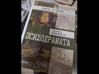 Theory and Practice of Psychodrama David Kipper