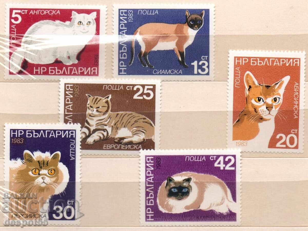 1983. България. Котки.