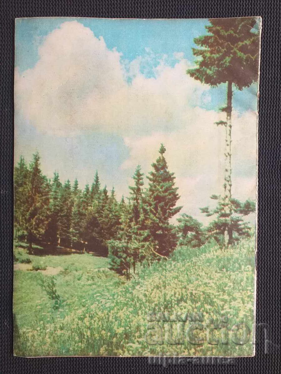 1957 g. FEMEIA AZI cu preț € 0.95 | 1.86 BGN 1957 g. FEMEIA AZI cu preț € 0.95 | 1.86 BGN