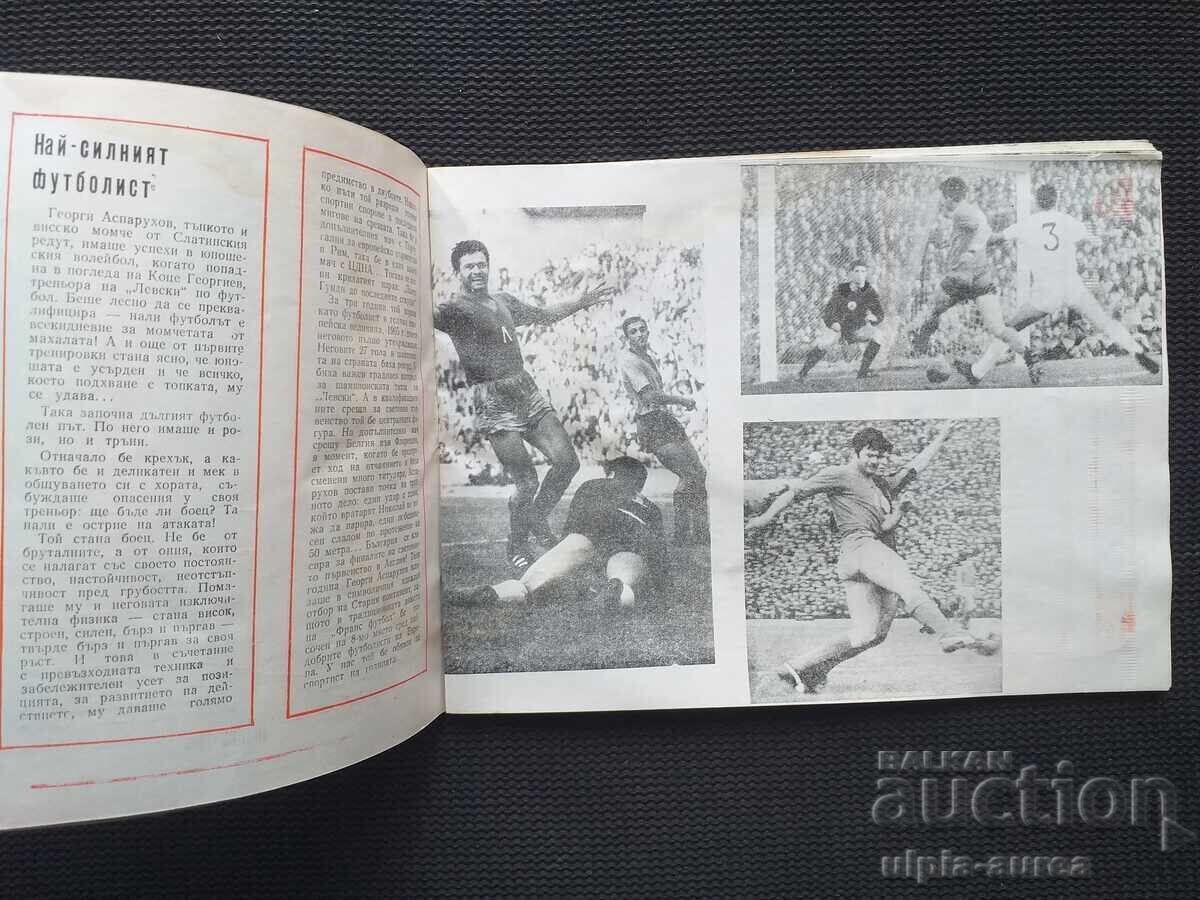 Licitație 1971 PANORAMĂ SPORTIVĂ