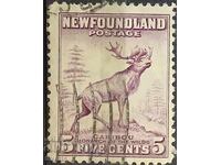 Newfoundland