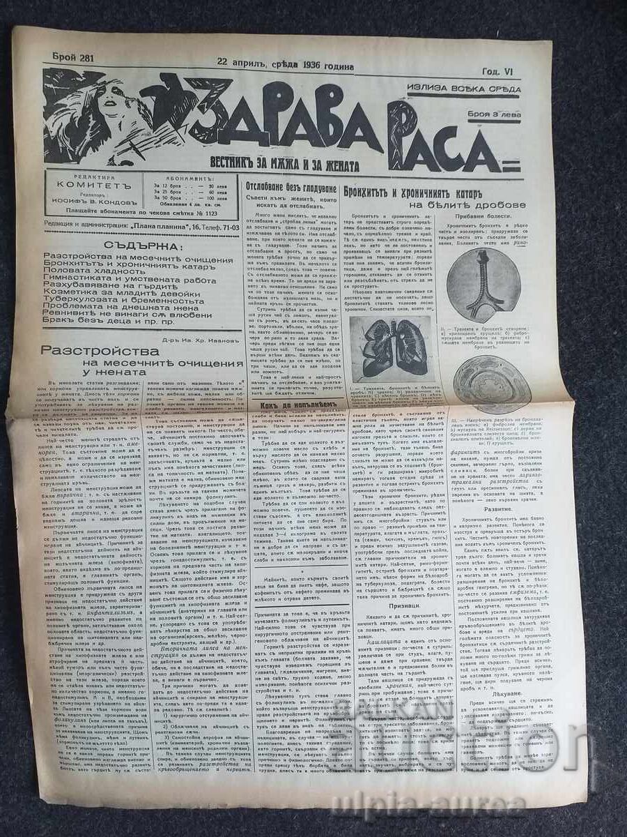 1936 RASĂ SĂNĂTOASĂ 1936 RASĂ SĂNĂTOASĂ