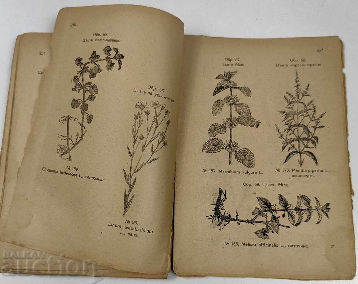 Livrarea 1928 FITOTERAPIE TRATAMENT CU PLANTE