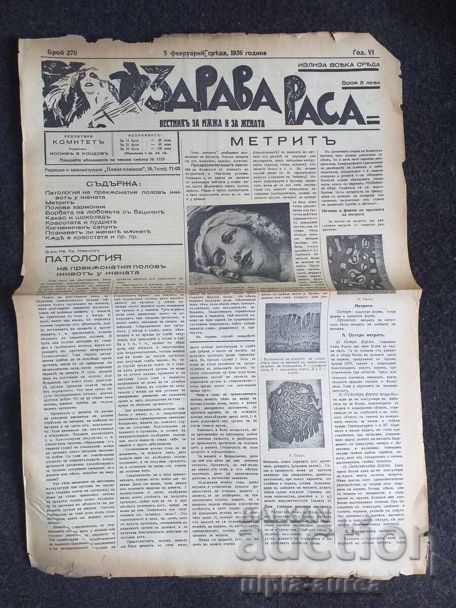 1936 RASĂ SĂNĂTOASĂ 1936 RASĂ SĂNĂTOASĂ