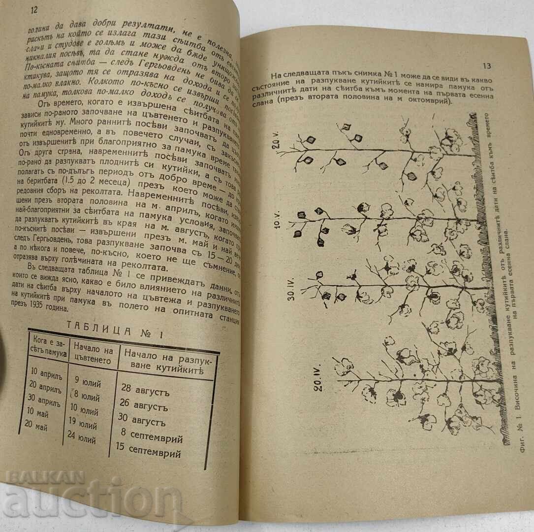 1936 ΠΩΣ ΝΑ ΣΠΕΡΝΟΥΜΕ ΚΑΙ ΝΑ ΚΑΛΛΙΕΡΓΟΥΜΕ ΤΟ ΒΑΜΒΑΚΙ - 6