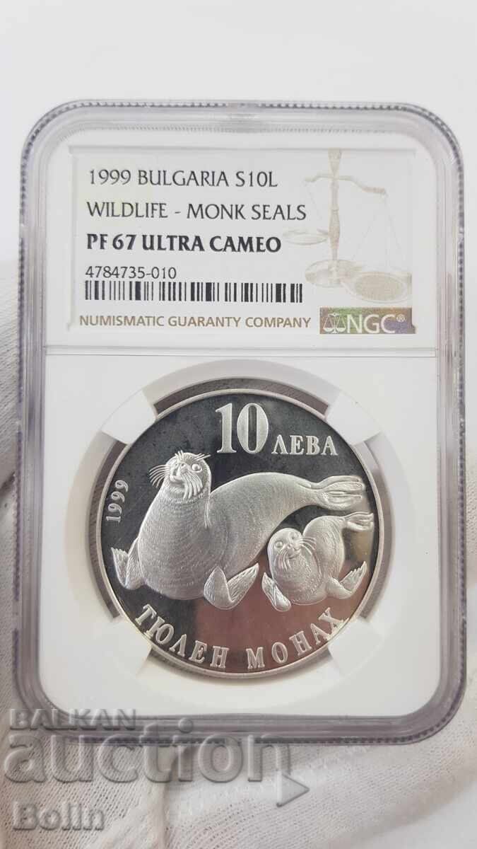 PF 67 - Monedă rară de argint 10 leva 1999 - Foca-călugăr cu preț € 580.00 | 1134.39 BGN PF 67 - Monedă rară de argint 10 leva 1999 - Foca-călugăr cu preț € 580.00 | 1134.39 BGN