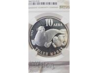 PF 67 - Rare silver coin 10 leva 1999 - Monk Seal