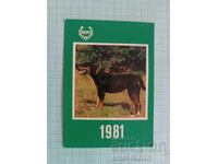 BLRS Bulgarian Hunting and Fishing Union calendar 1981