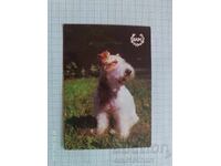 Calendar BLRS Uniunea Bulgară a Vânătorilor și Pescarilor 1981
