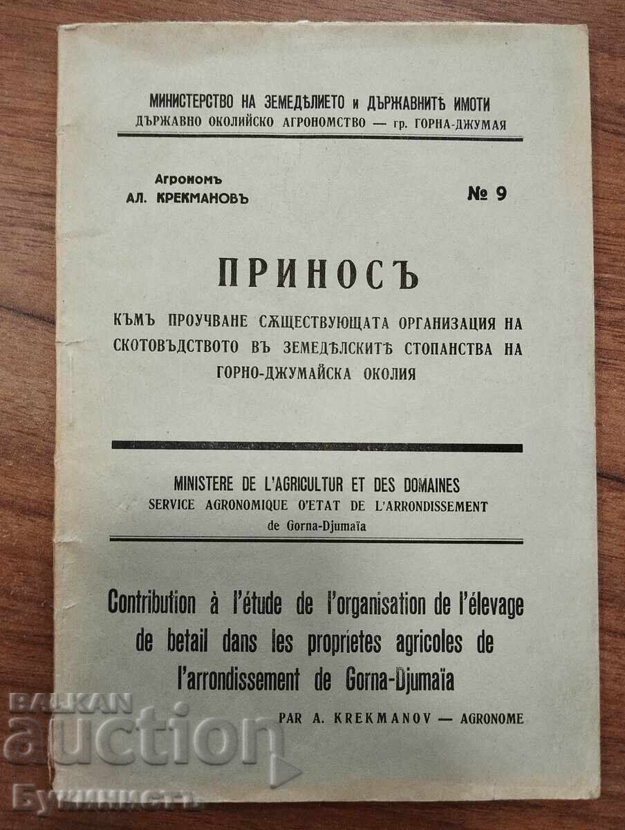 CONTRIBUȚIE LA STUDIUL ORGANIZĂRII EXISTENTE A CONTRIBUȚIE LA STUDIUL ORGANIZĂRII EXISTENTE A