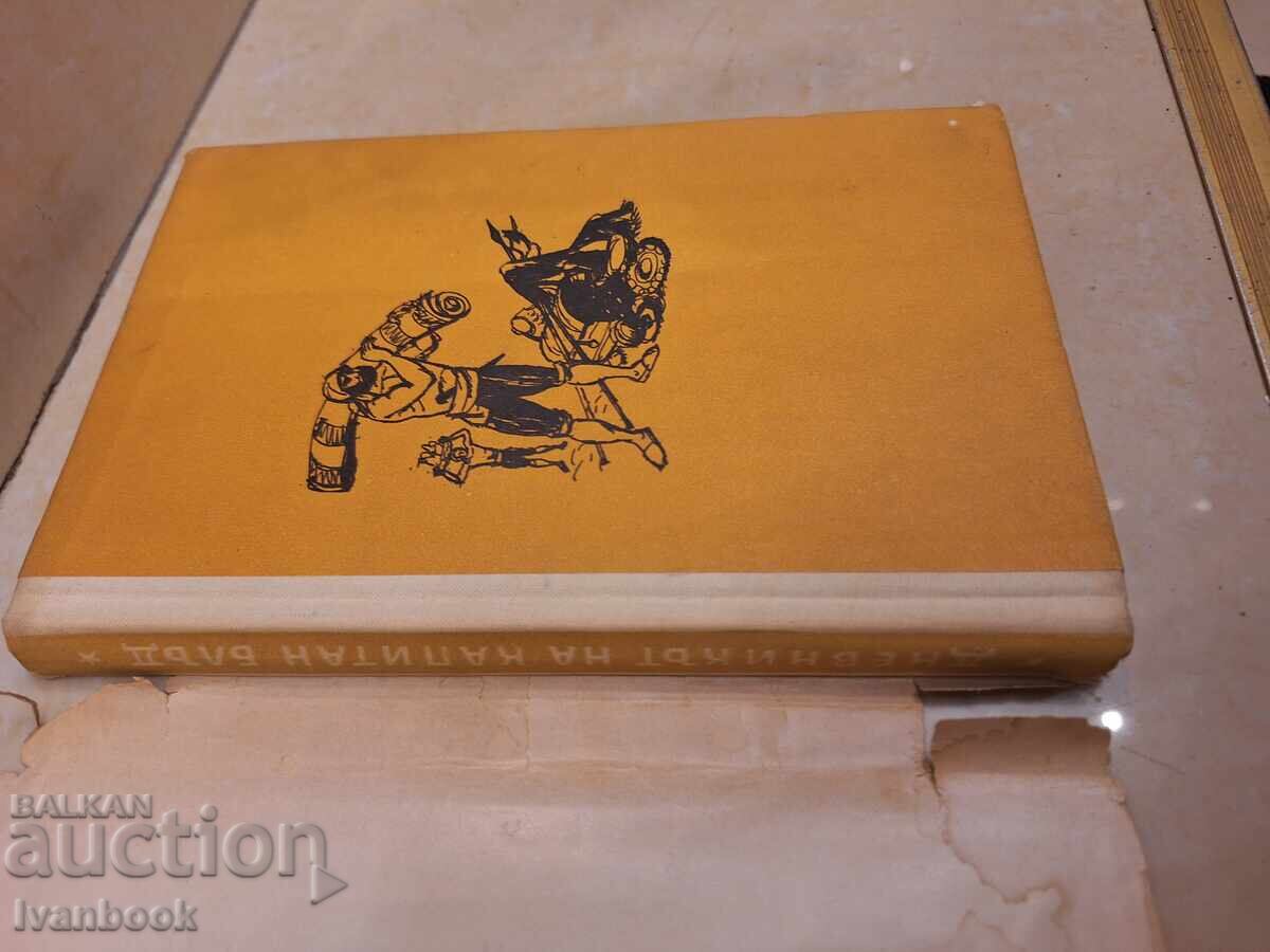 Licitație Bibliotecă - Lectură pentru adolescenți - Jurnalul căpitanului Blood