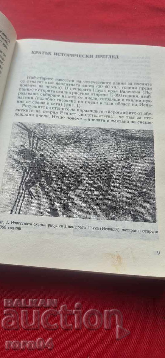 Livrarea PRODUSELE APICOLE ÎN MEDICINĂ - APITERAPIE